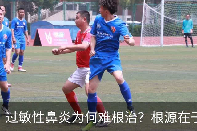 过敏性鼻炎为何难根治？根源在于免疫系统认知偏差